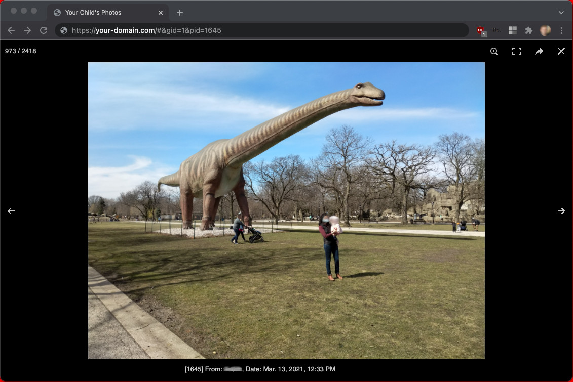 Photo Viewer Detail